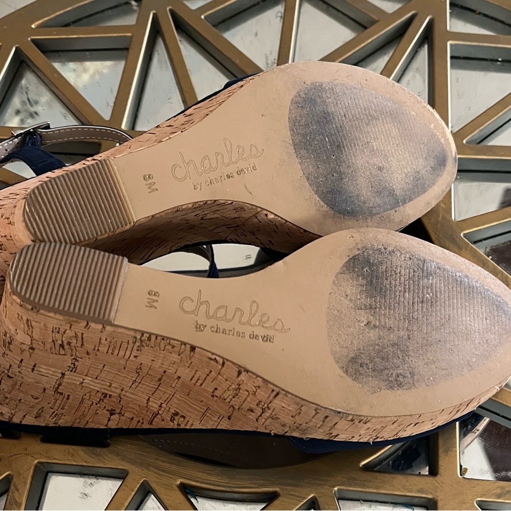 Charles by Charles David Navy Wedge Sandals - Picture 11 of 14